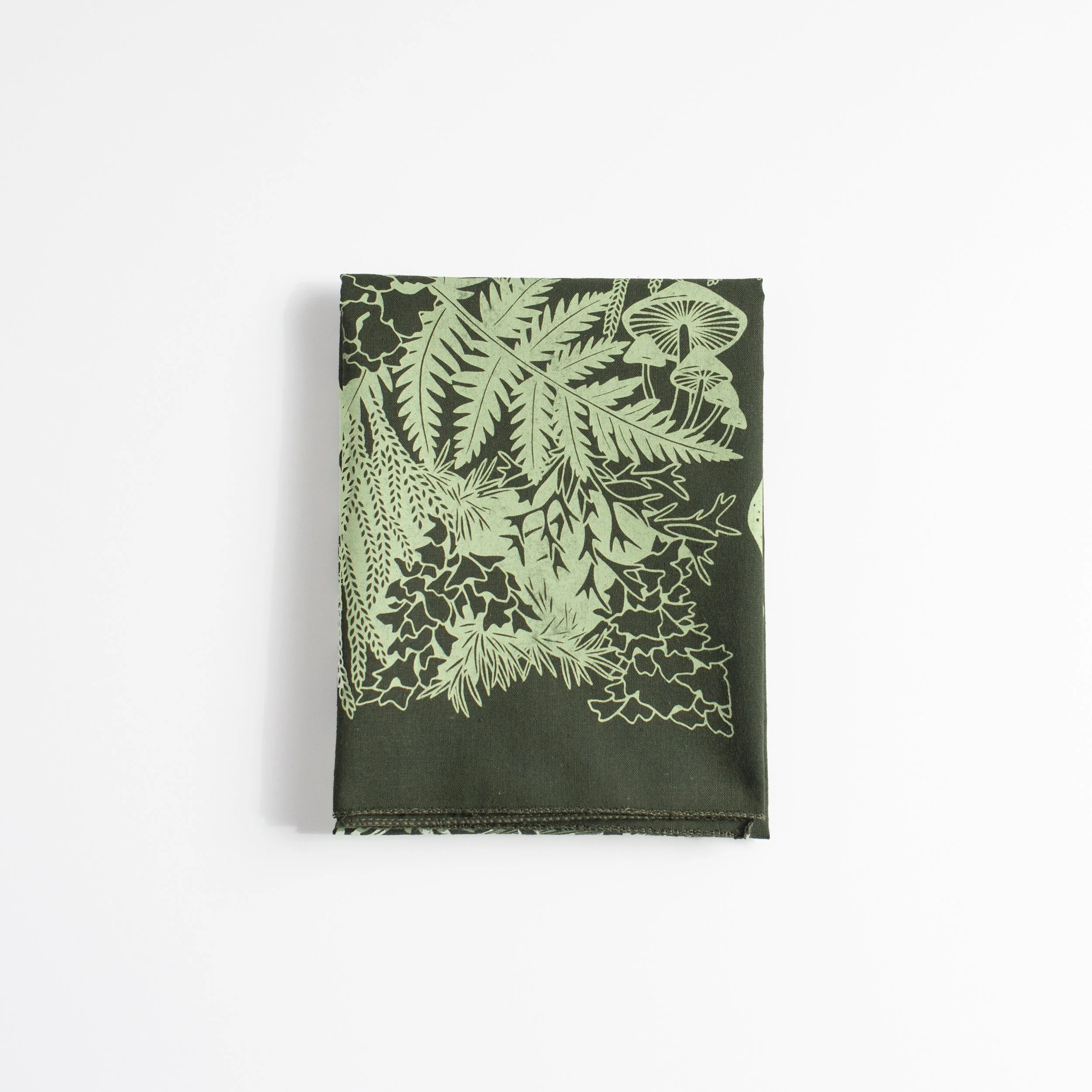 BANDANA regrow OLV fold.jpg