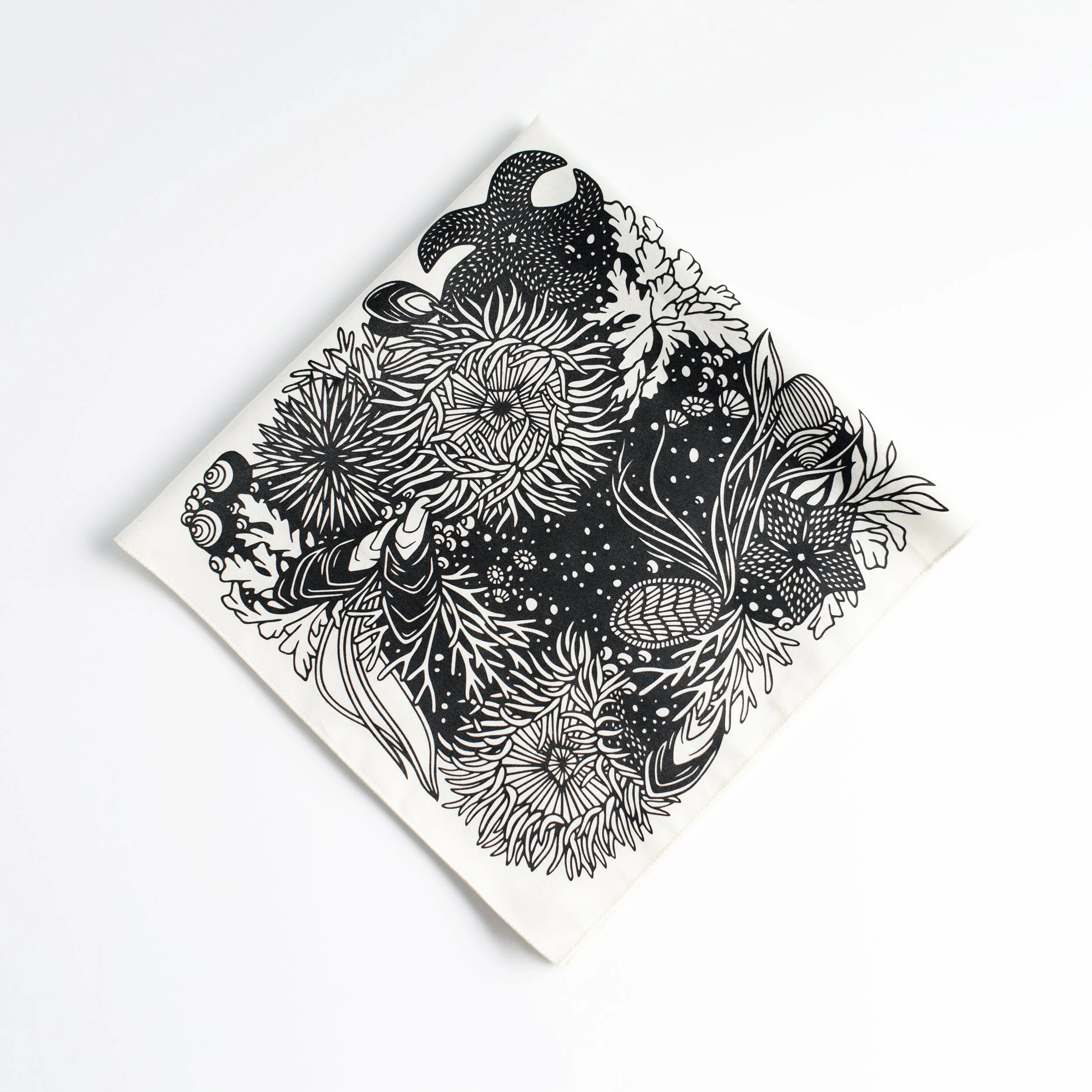 BANDANA tidepool natural.jpg