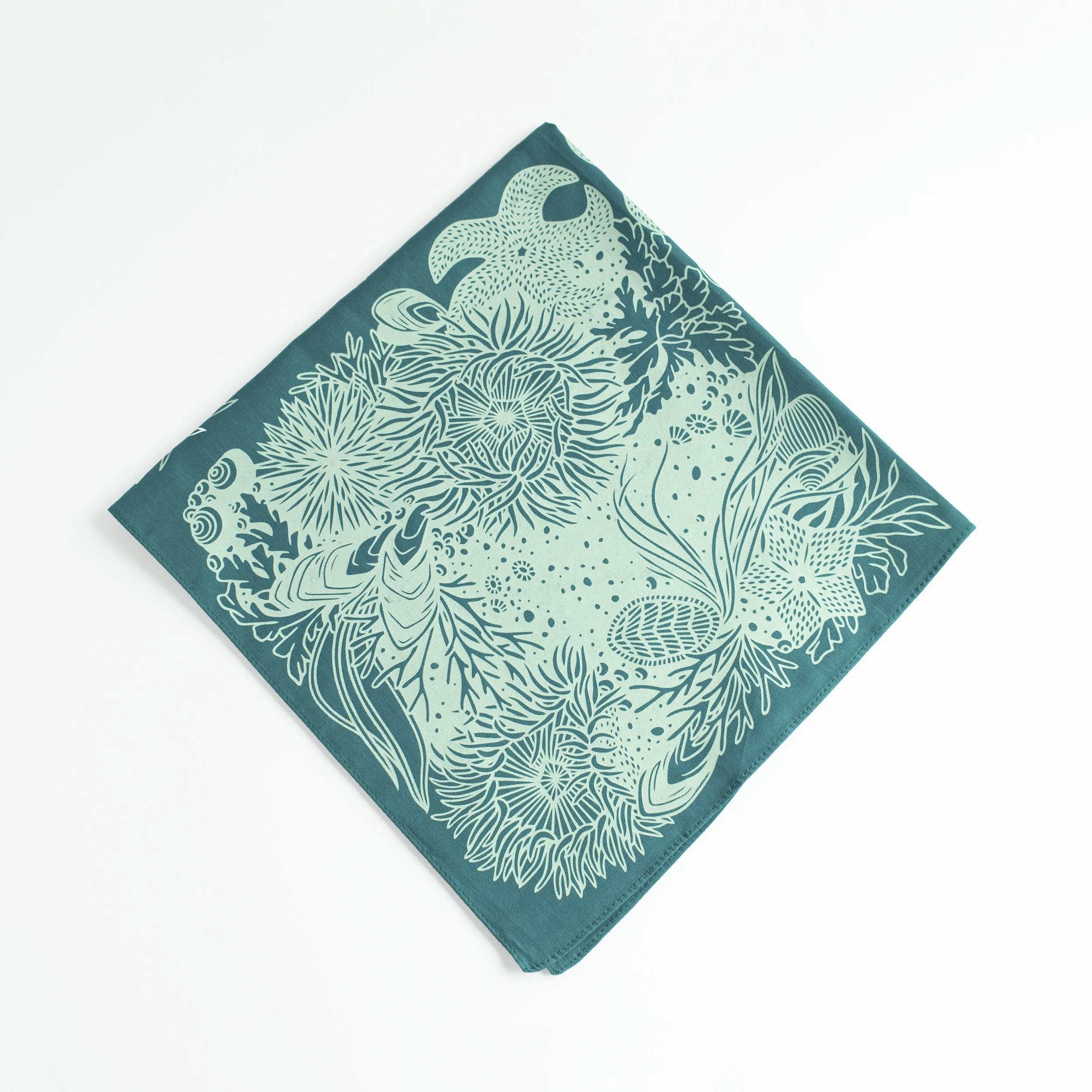 BANDANA tidepool teal.jpg