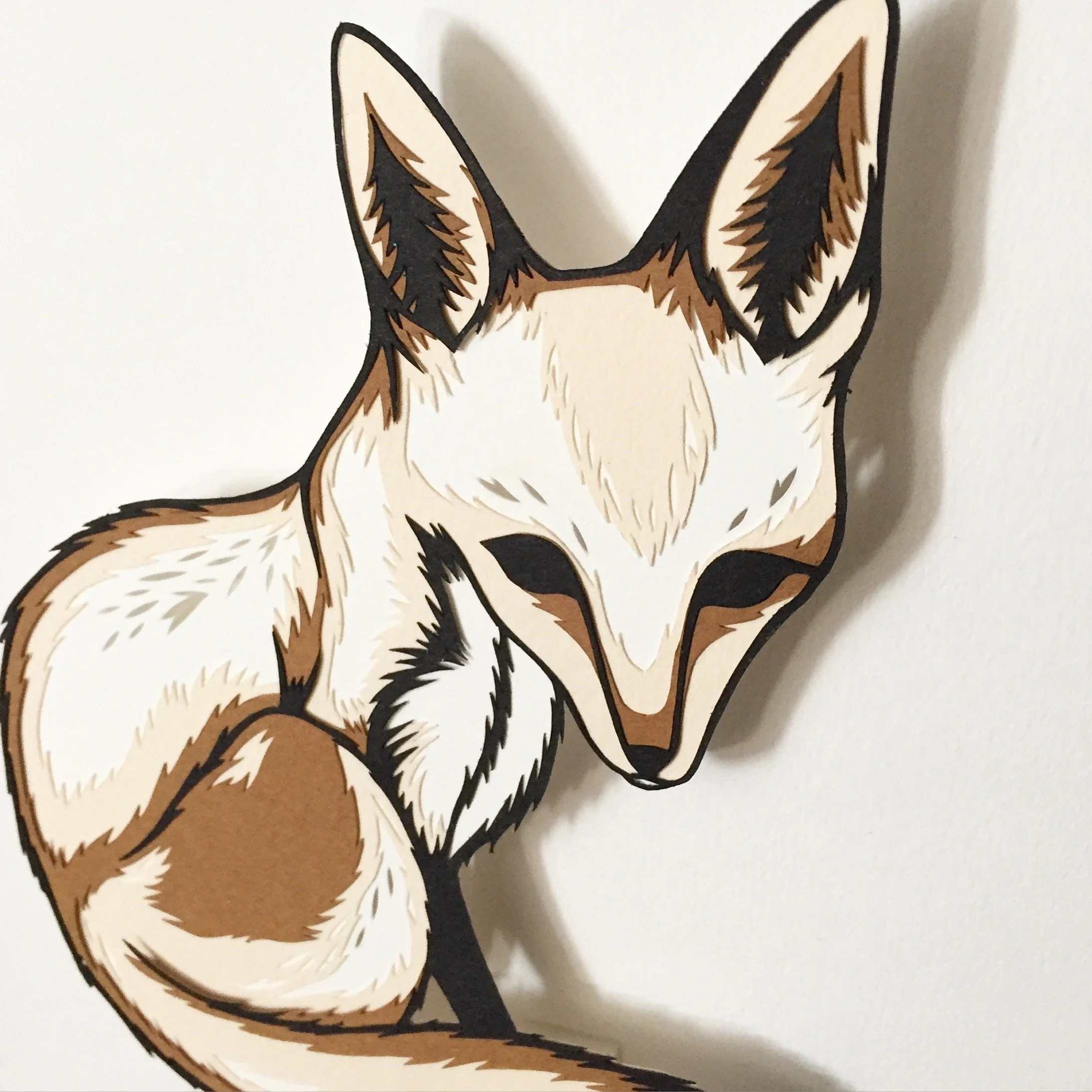 Kit, 2015