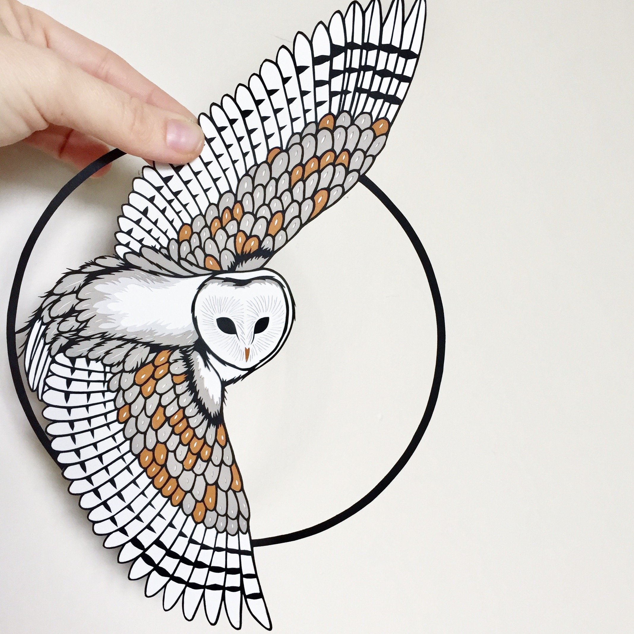 Barn owl, 2015