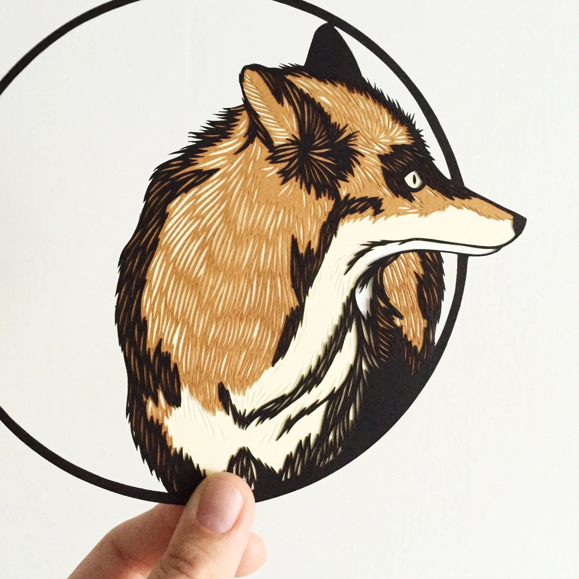 Fox, 2015