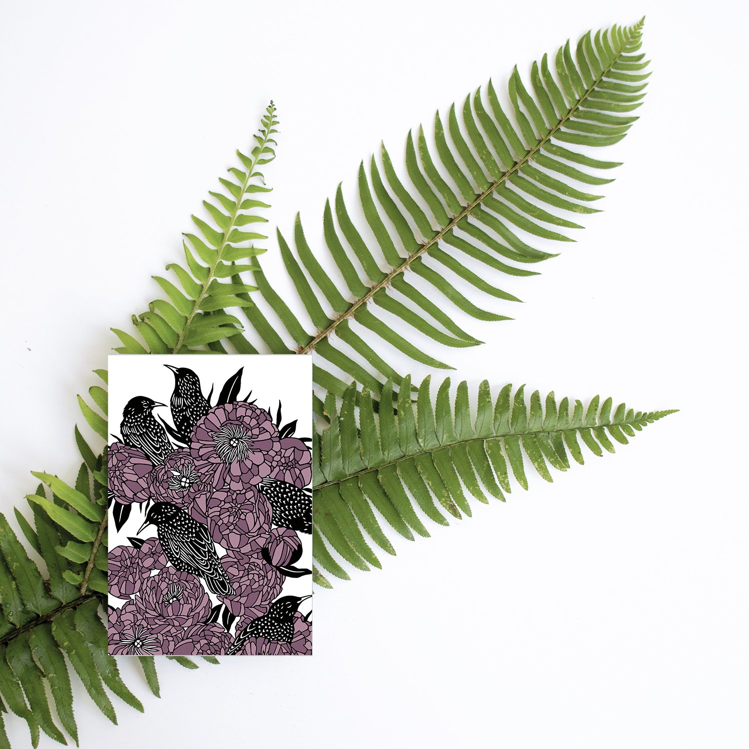 Starlings papercut art postcard