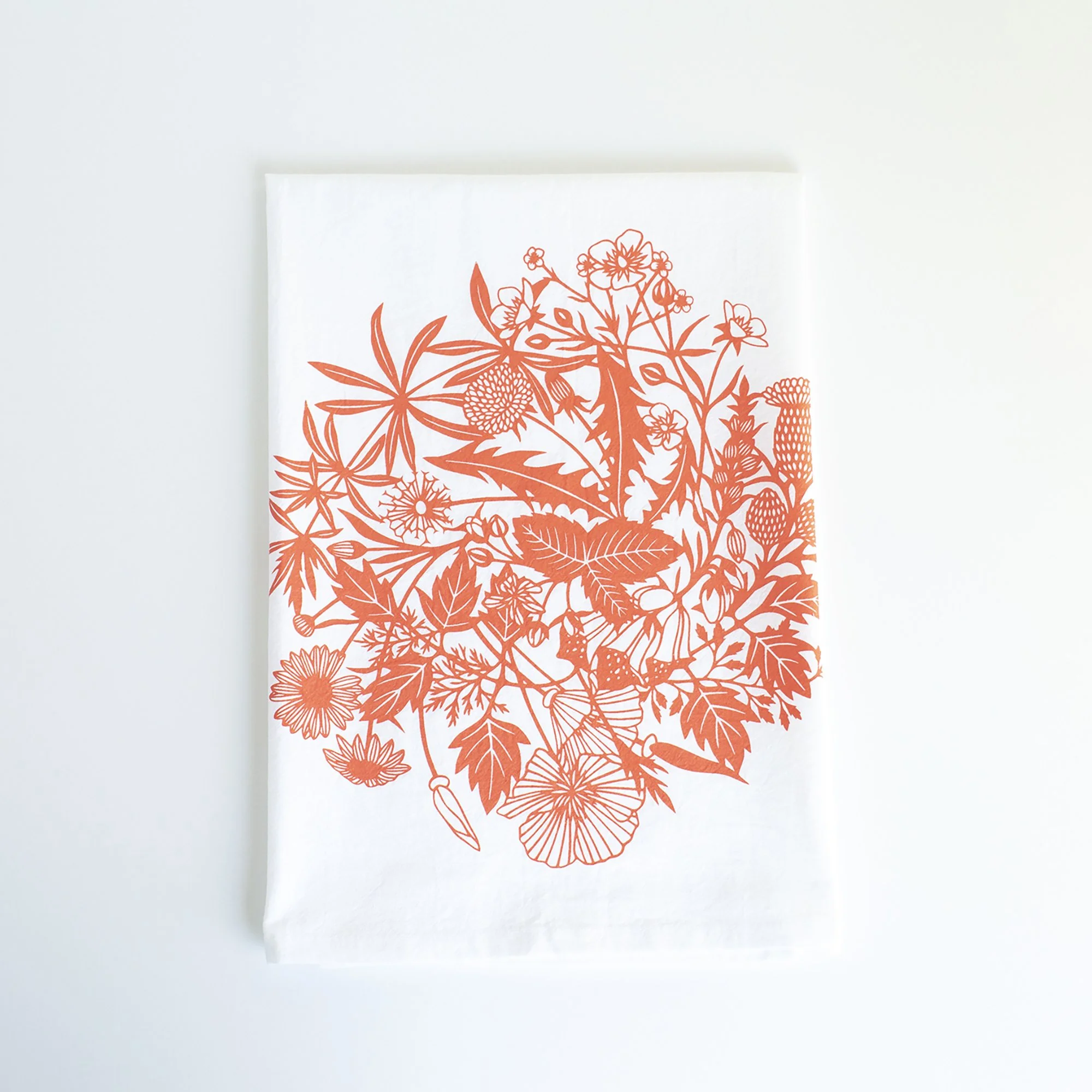 T066_posy_coral2000.jpg