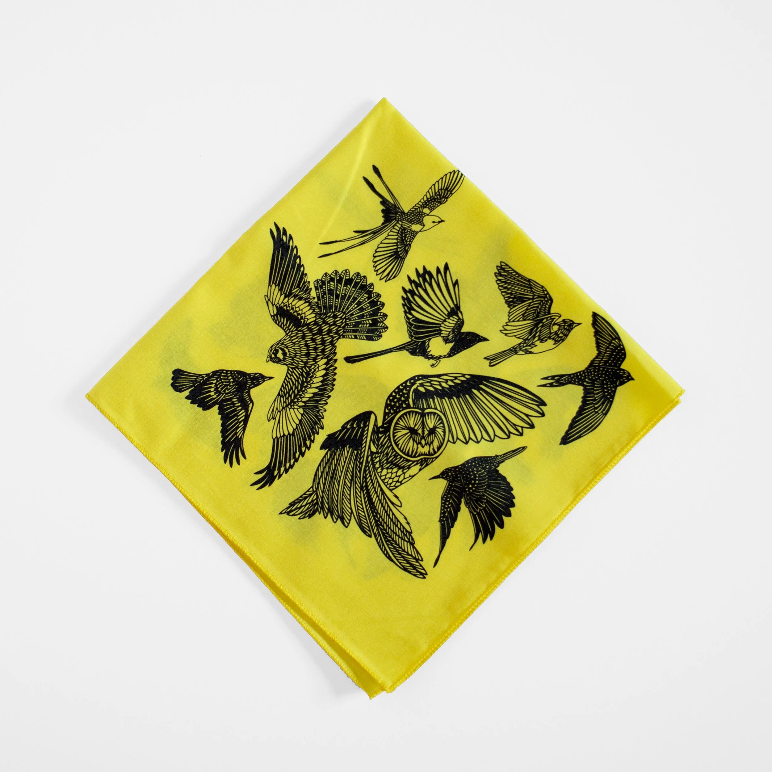 Bird bandana yellow and black owl.jpg