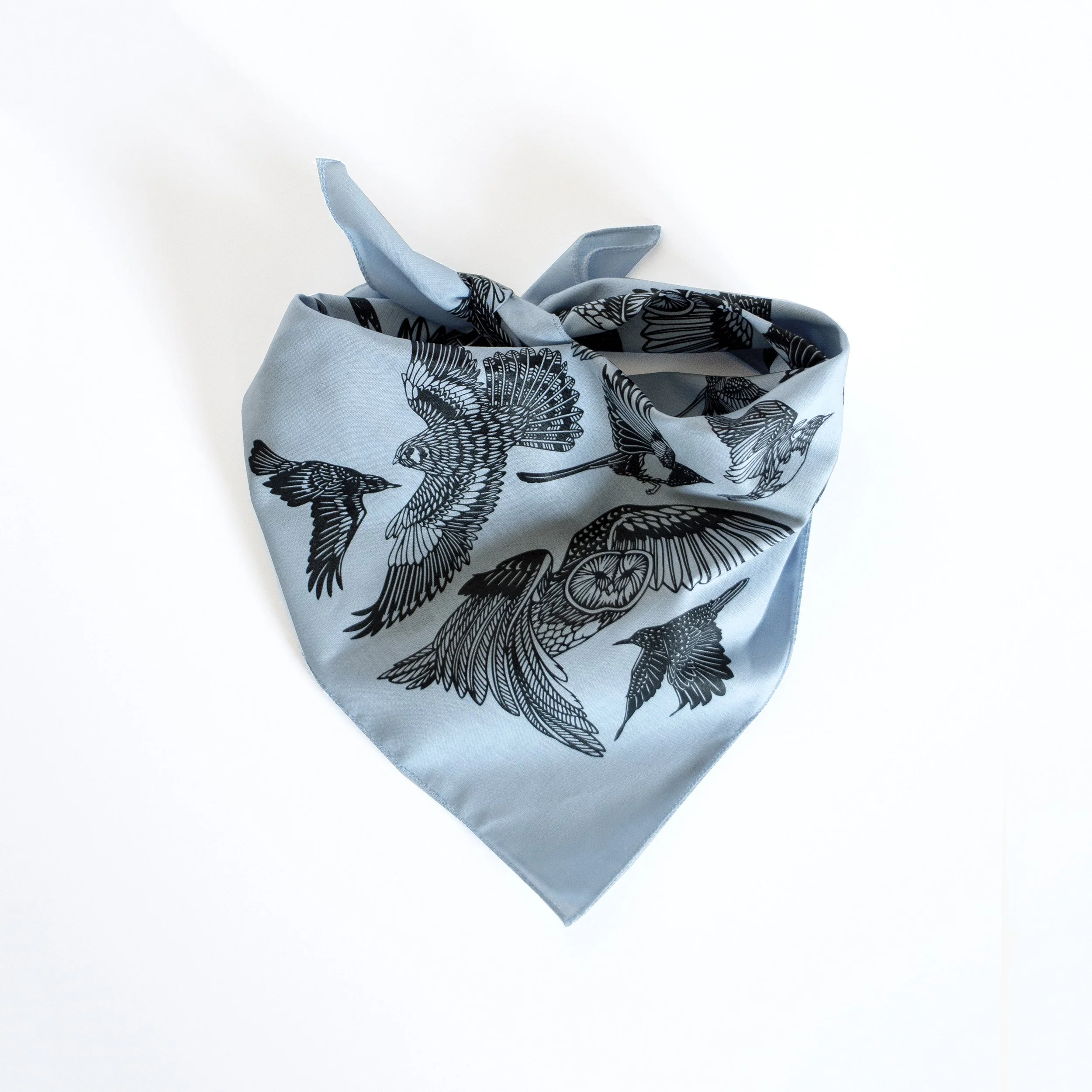 Bird bandana swallow swift kestrel babay blue.jpg