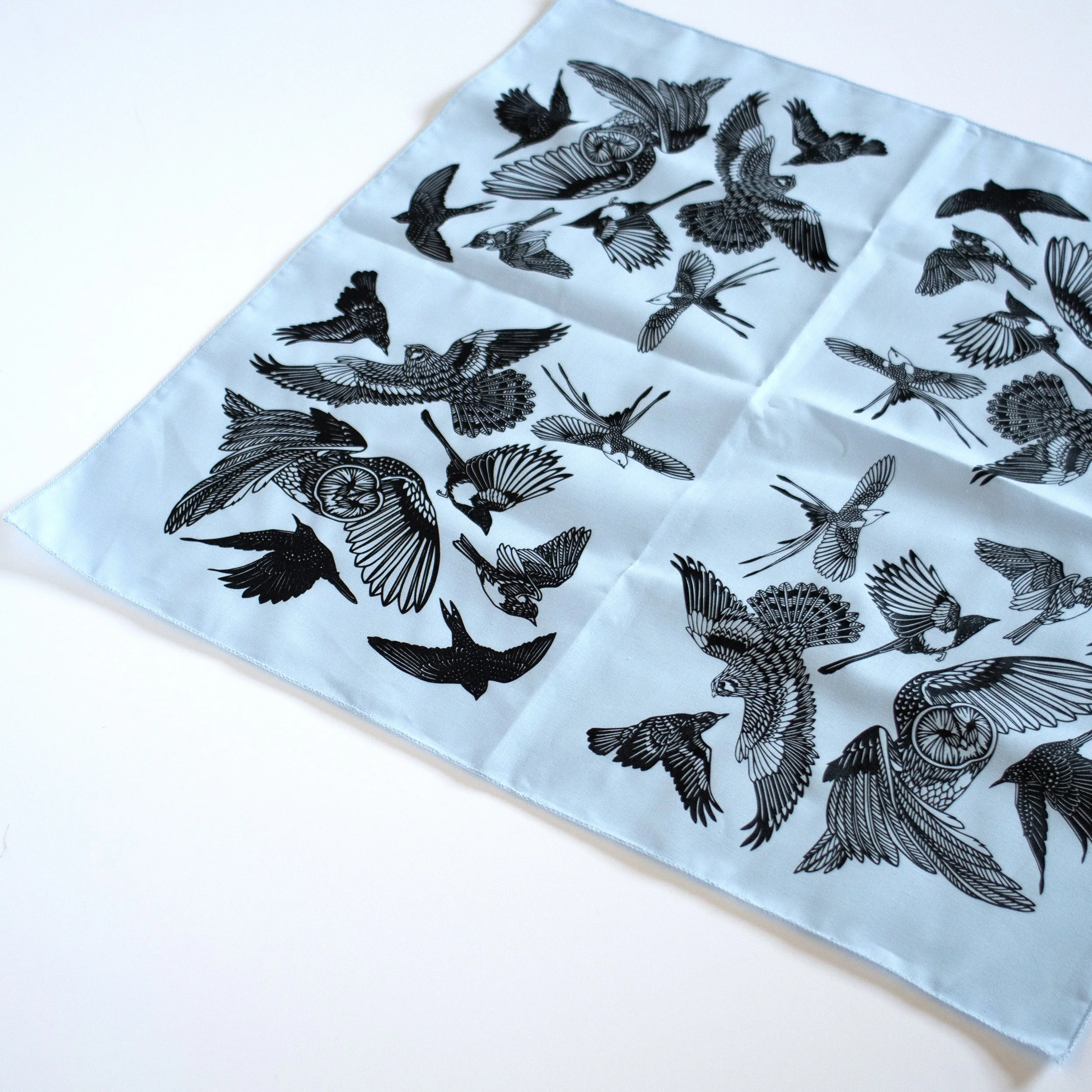Birds bandanas bird bandana baby blue.jpg