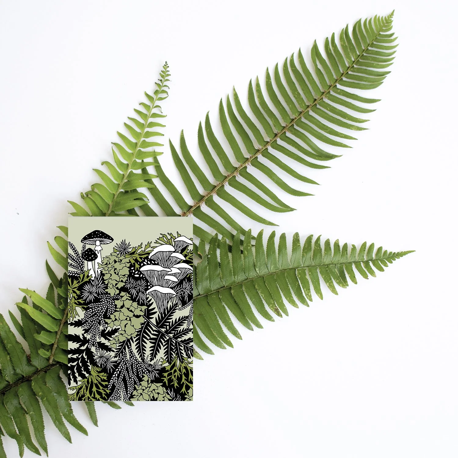 Regrow papercut art postcard