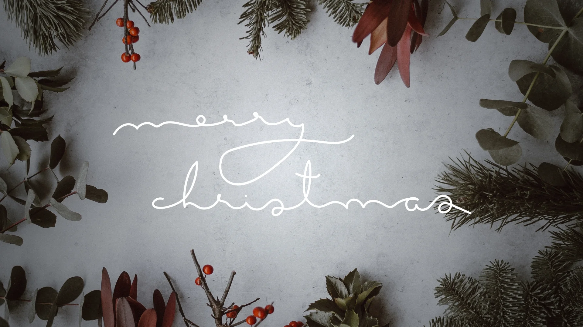 merry xmas.jpg