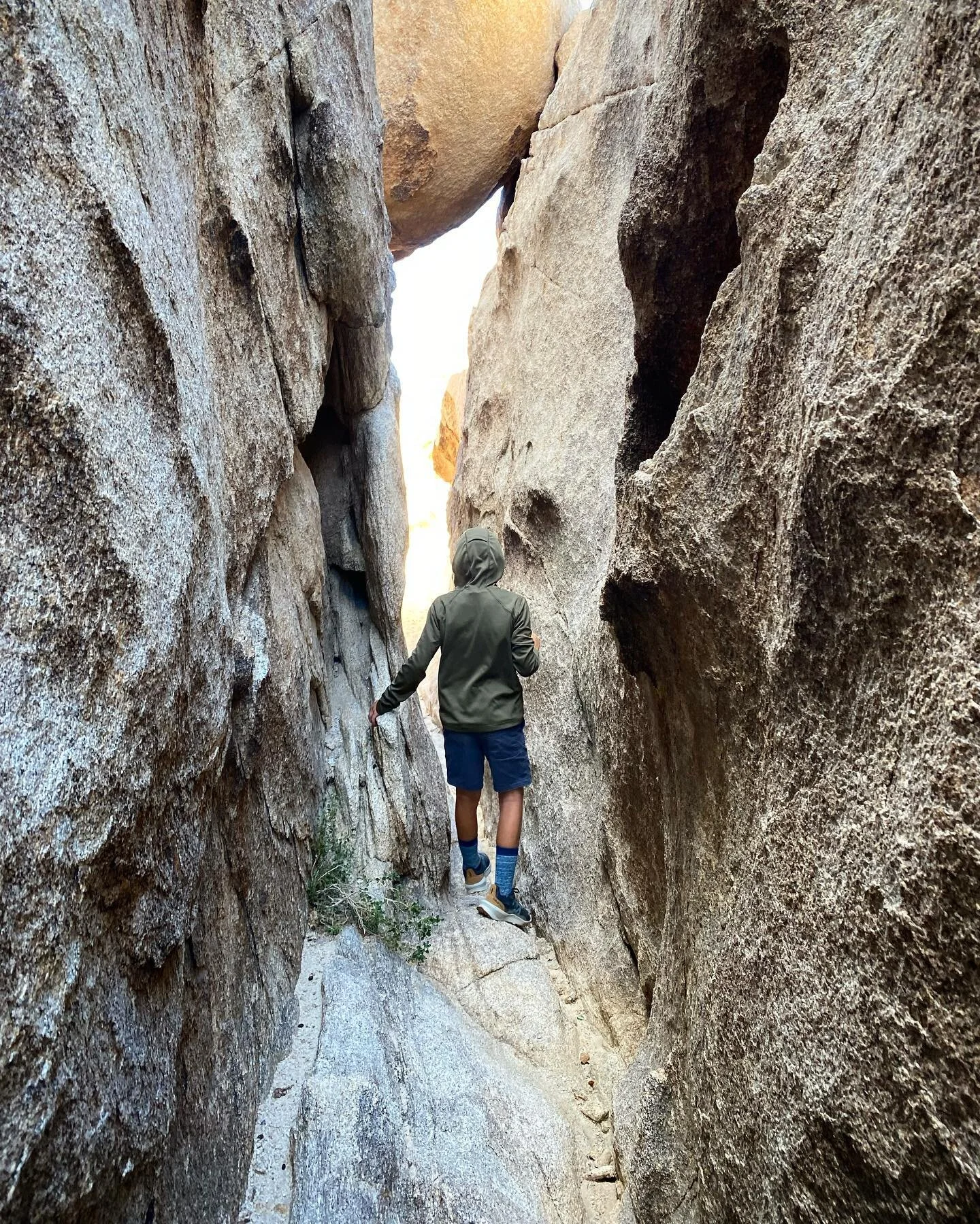 return of the desert season