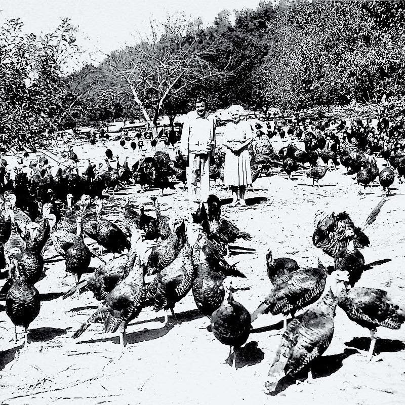 Long before LaBonne&rsquo;s arrived in Salisbury, the town was known as the fresh turkey capital of the world &mdash; thanks to the famous Shagroy Farm &amp; Market.

The name &ldquo;Shagroy&rdquo; came from the Hose family&rsquo;s three children: Sh