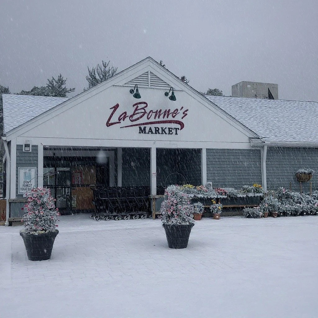 🚨 ATTENTION ALL CUSTOMERS 🚨

We will be closing at 5pm today due to the snow and freezing rain so our team can get home safe before it gets too slick out there.

Drive safe everyone!