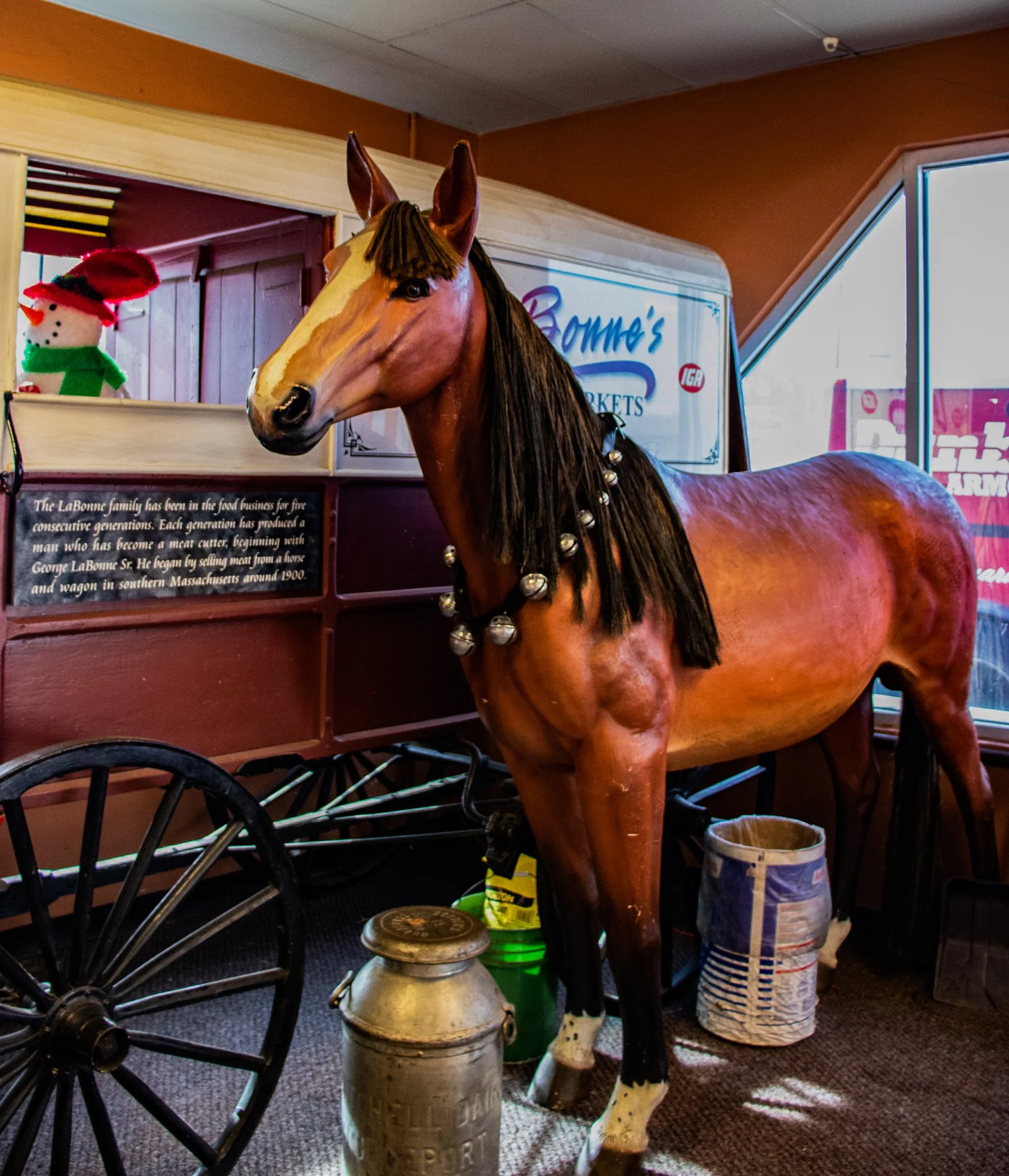 Watertown Store Horse and Buggy