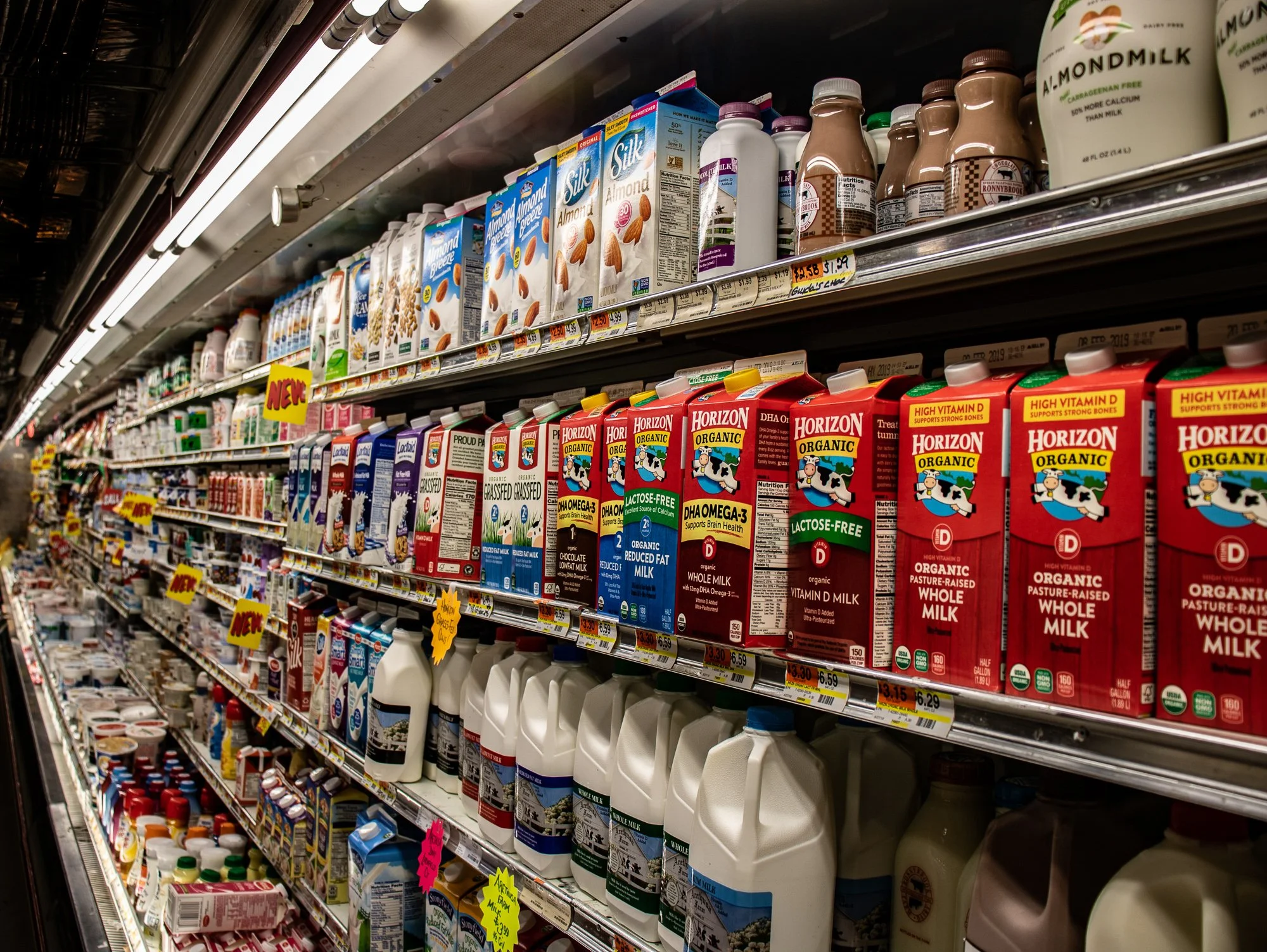 Salisbury Store Dairy Aisle
