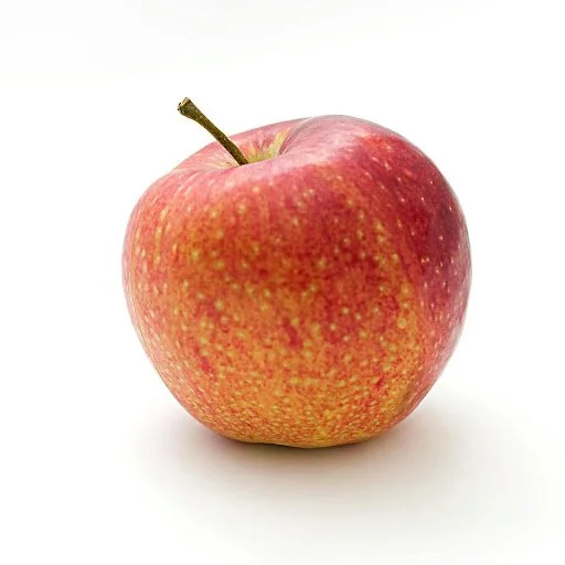 McIntosh apple isolated on a white background with red and green skin