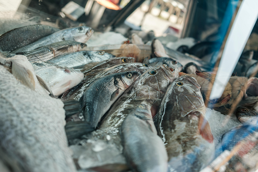 Whole fresh fish on ice showing clear eyes and firm texture
