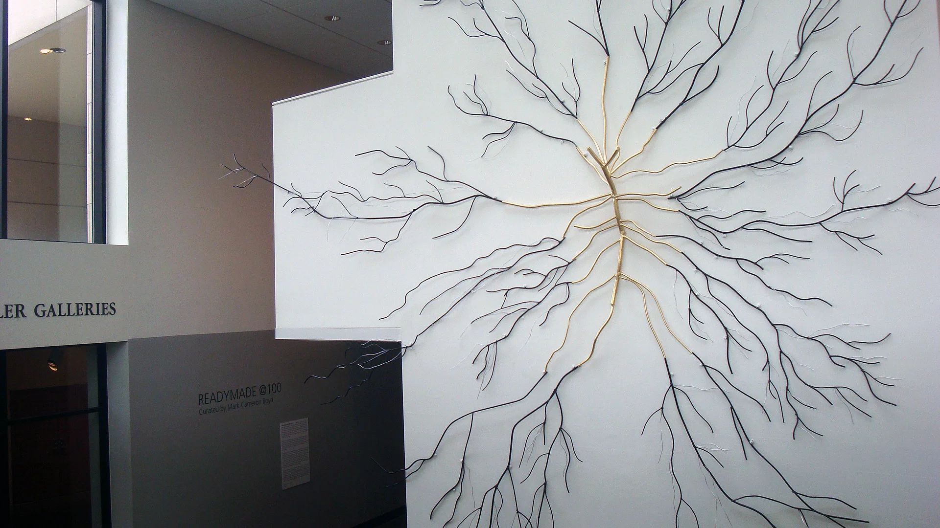 Cannabis Sativa: Top View, 2014
