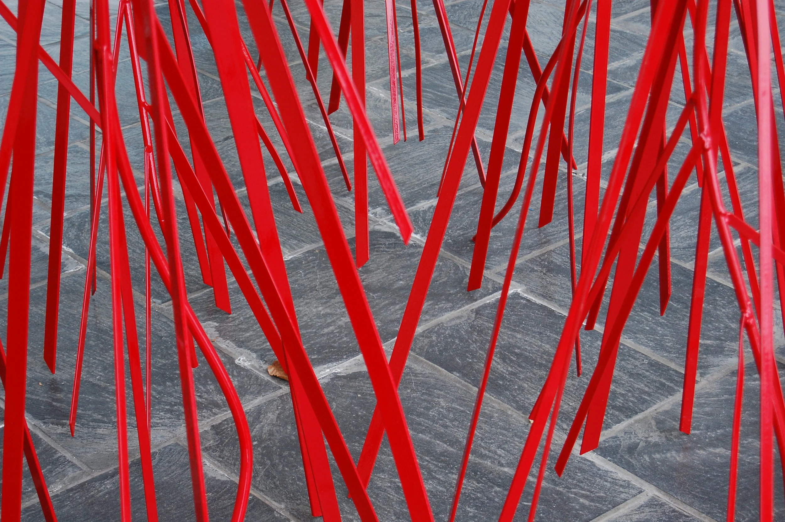 Rhizophora Mangle (Mangrove) - detail, 2010