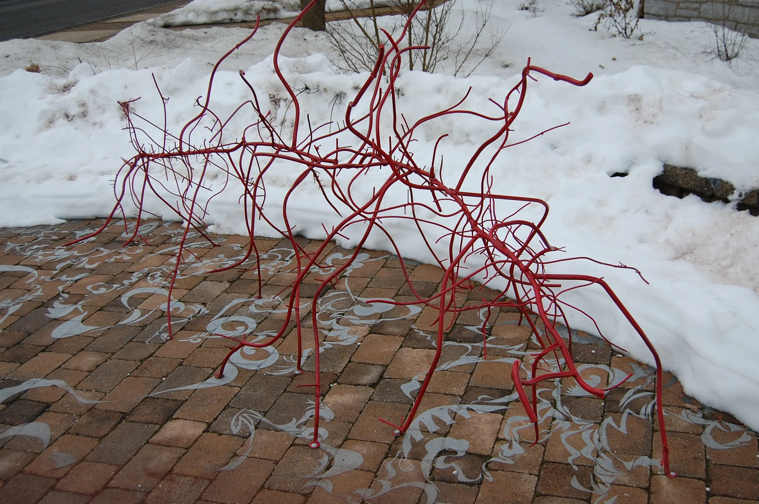 Phyllostachus Nigra (Red Bamboo), 2010