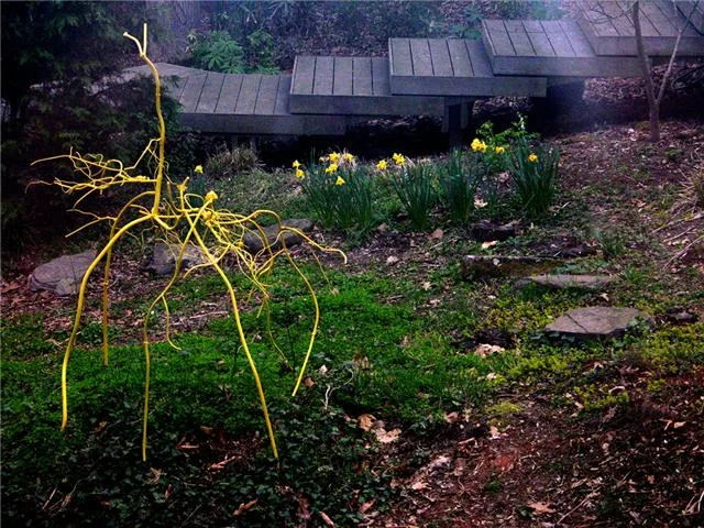 Yellow Weed, 2009