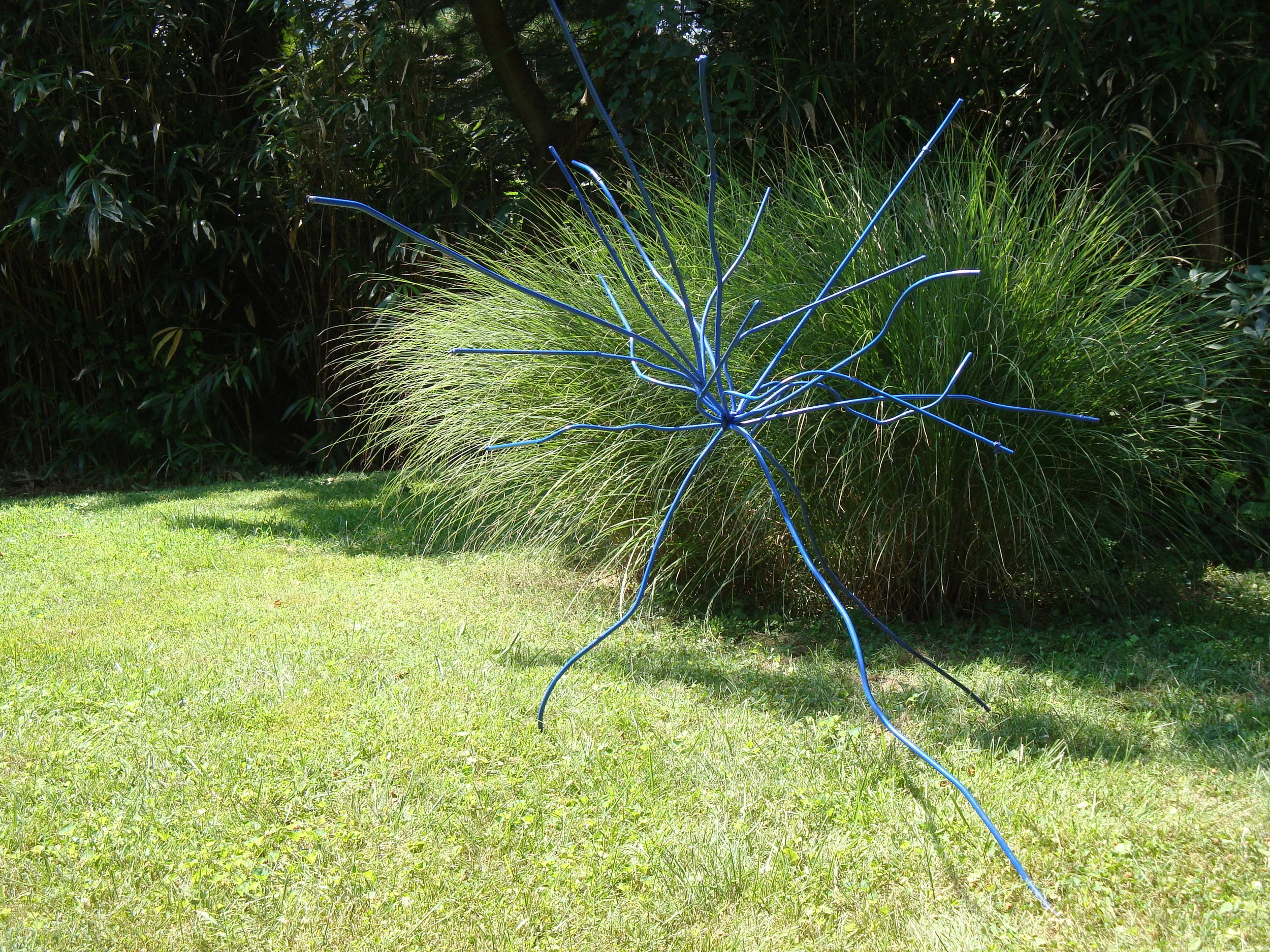 Tumble Weed, 2009