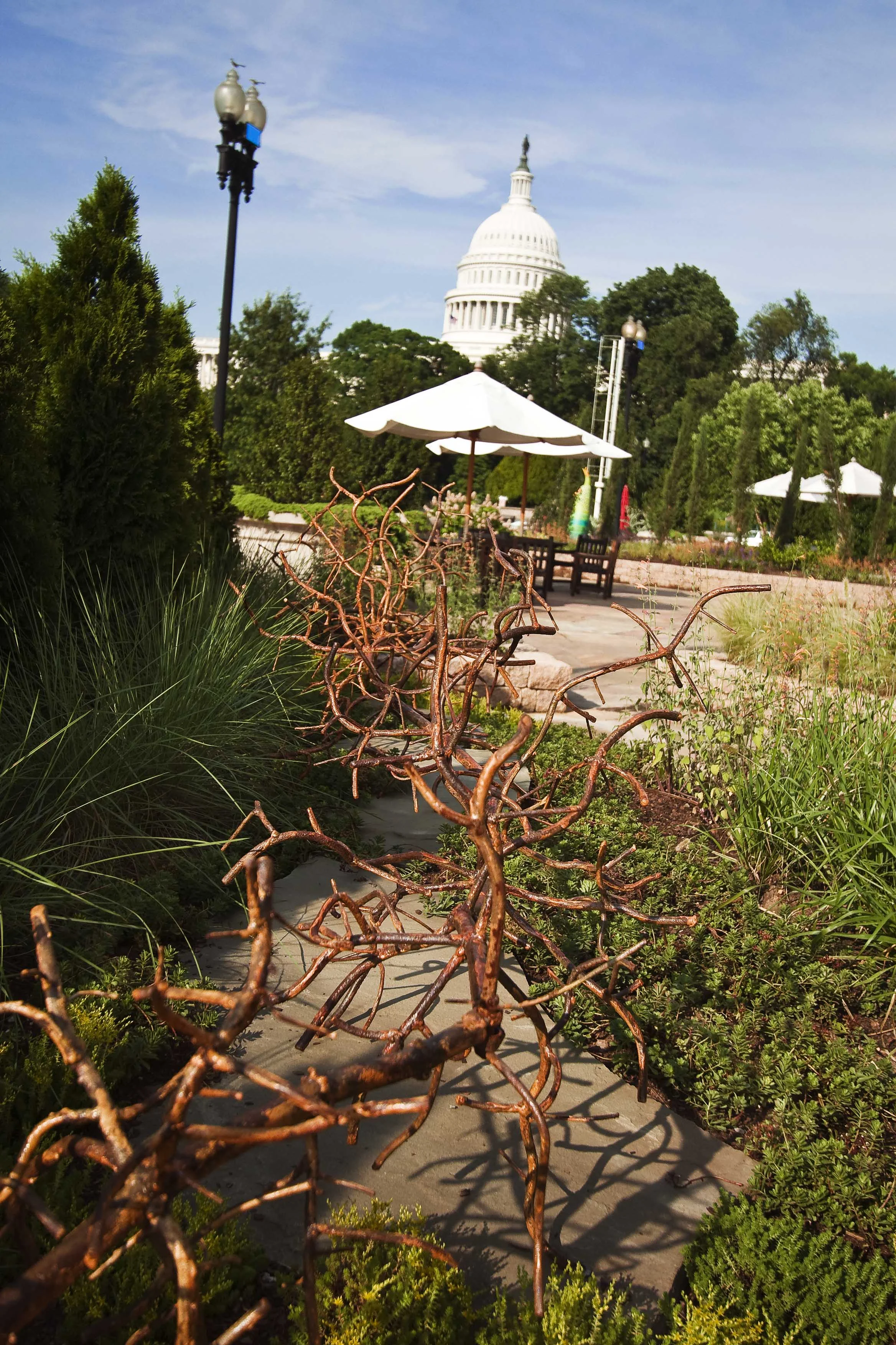 Flora, Growing Inspirations, 2009