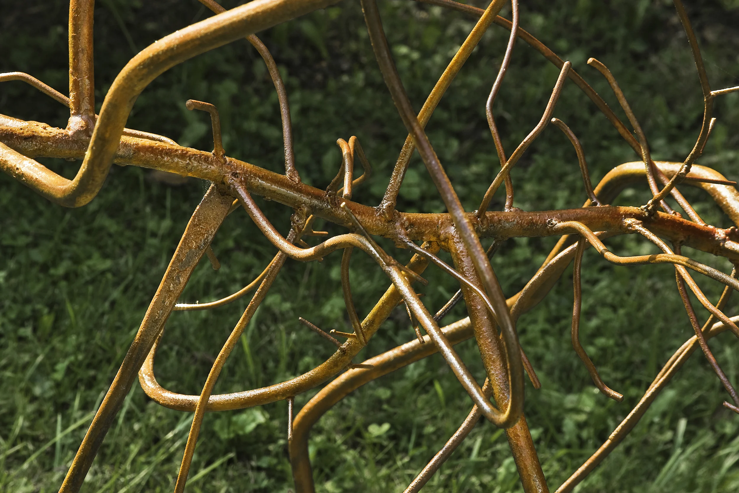 Flora, Growing Inspirations - detail, 2009