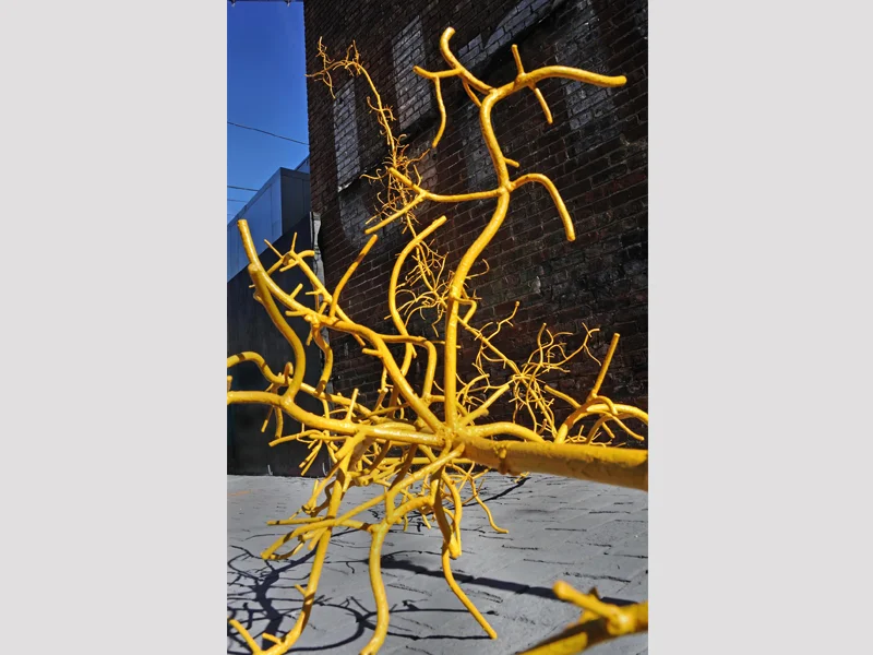 Yellow Bamboo Root (detail), 2013