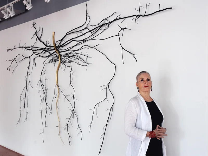 Cannabis sativa (installation view with artist), 2014