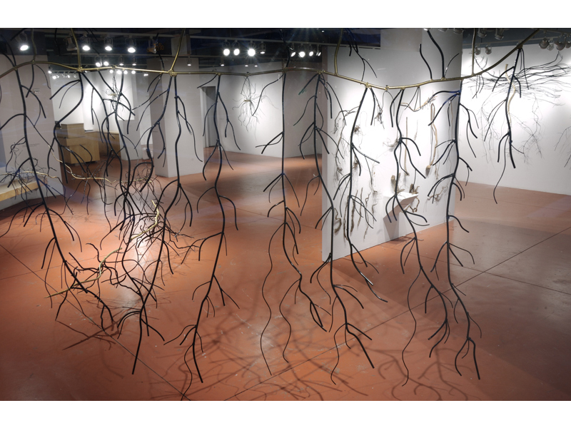 Dalya Luttwak: Germination of Gold (installation view - alternate), 2014