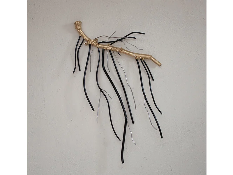 Seedling, 2015