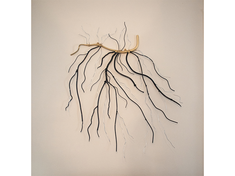 Roots or Branches, 2015