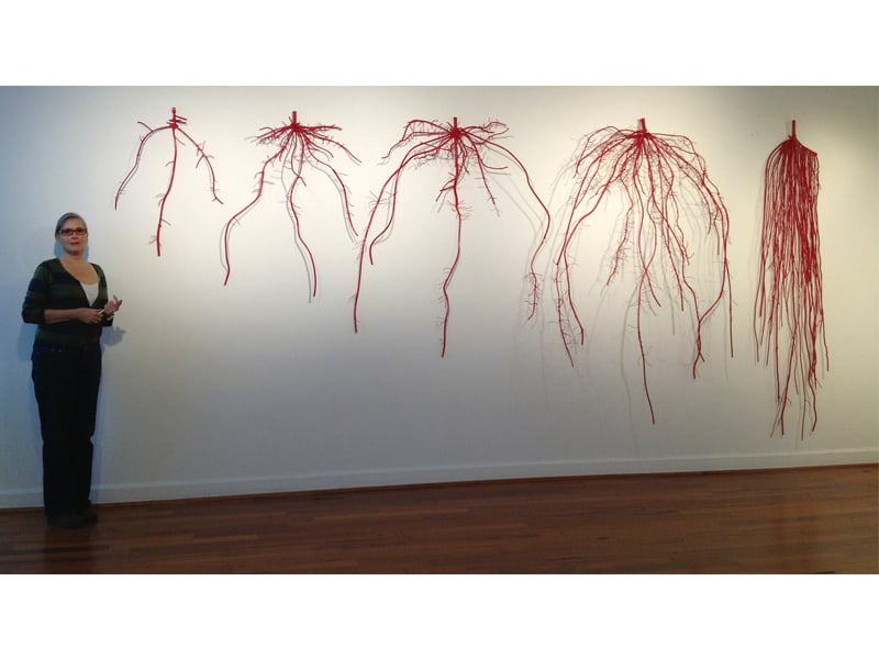 Roots of Winter Wheat: From 10 Days Old to Full Maturity (overview with the artist), 16'x6'