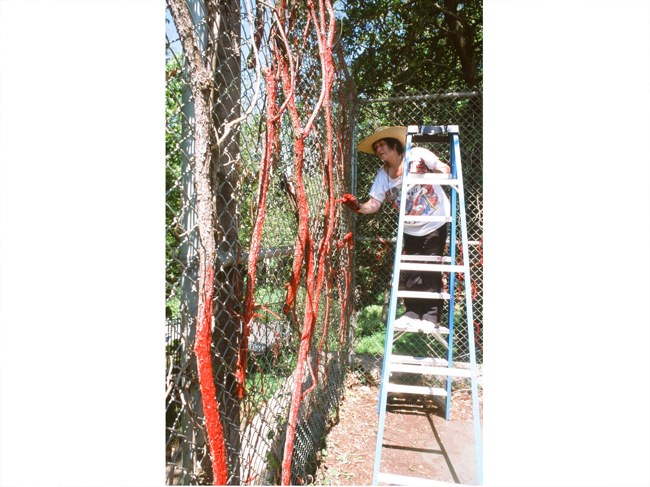 Painting the vines on the fence