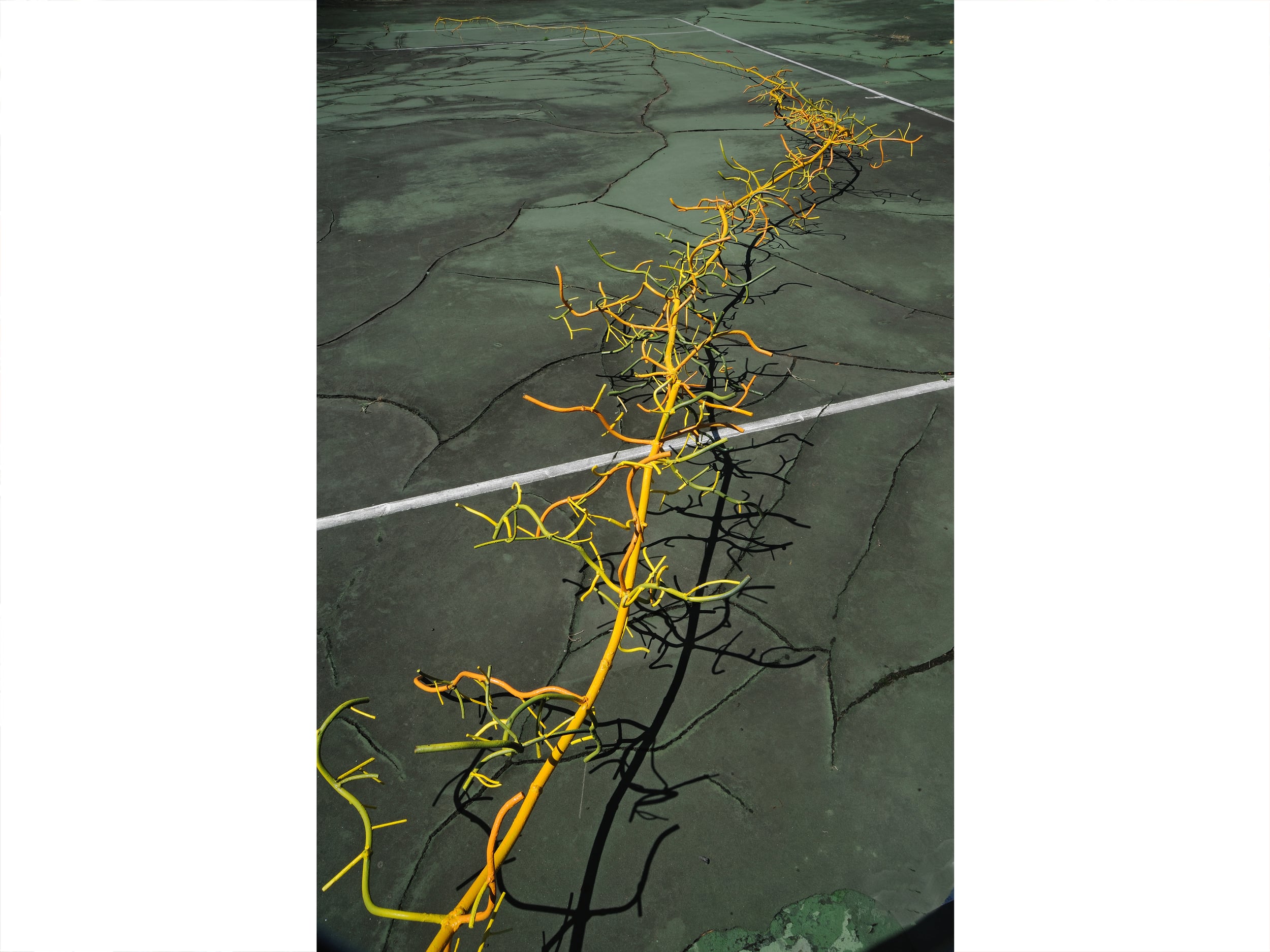 A long metal yellow ROOT sculpture along the width of the tennis court