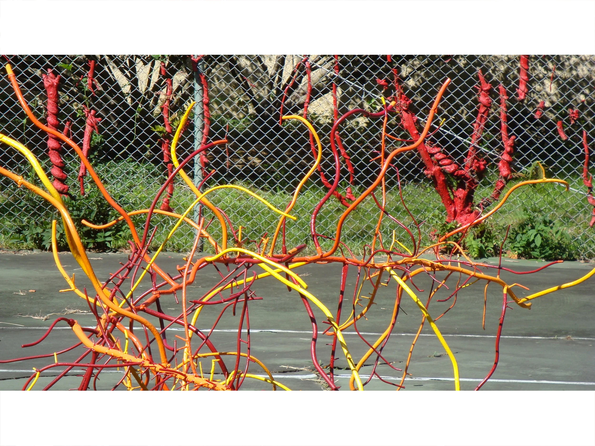 Partial view of the installation
