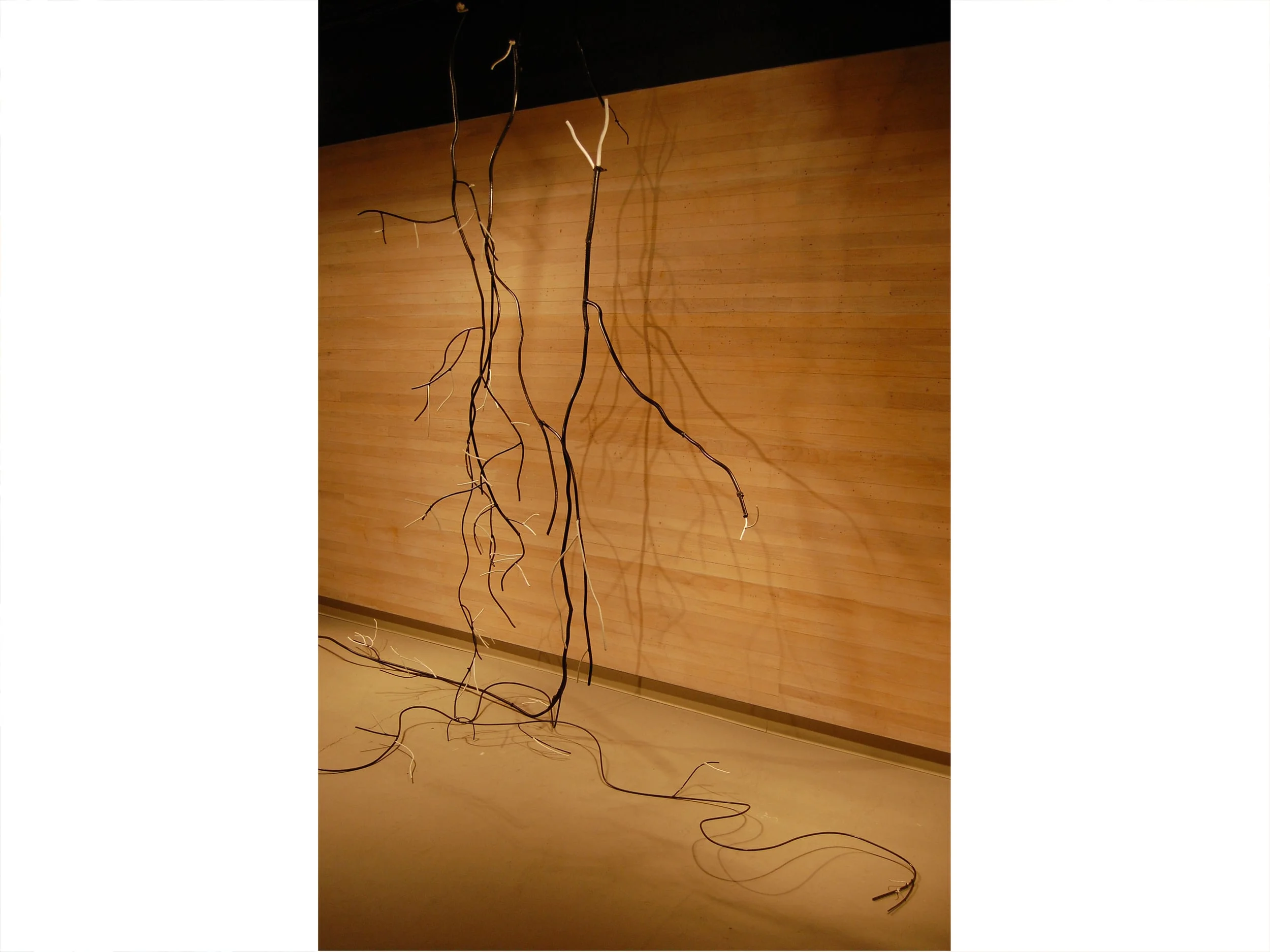 Gutierrezia Sarothrae (Brownweed-Grass) - alternate view