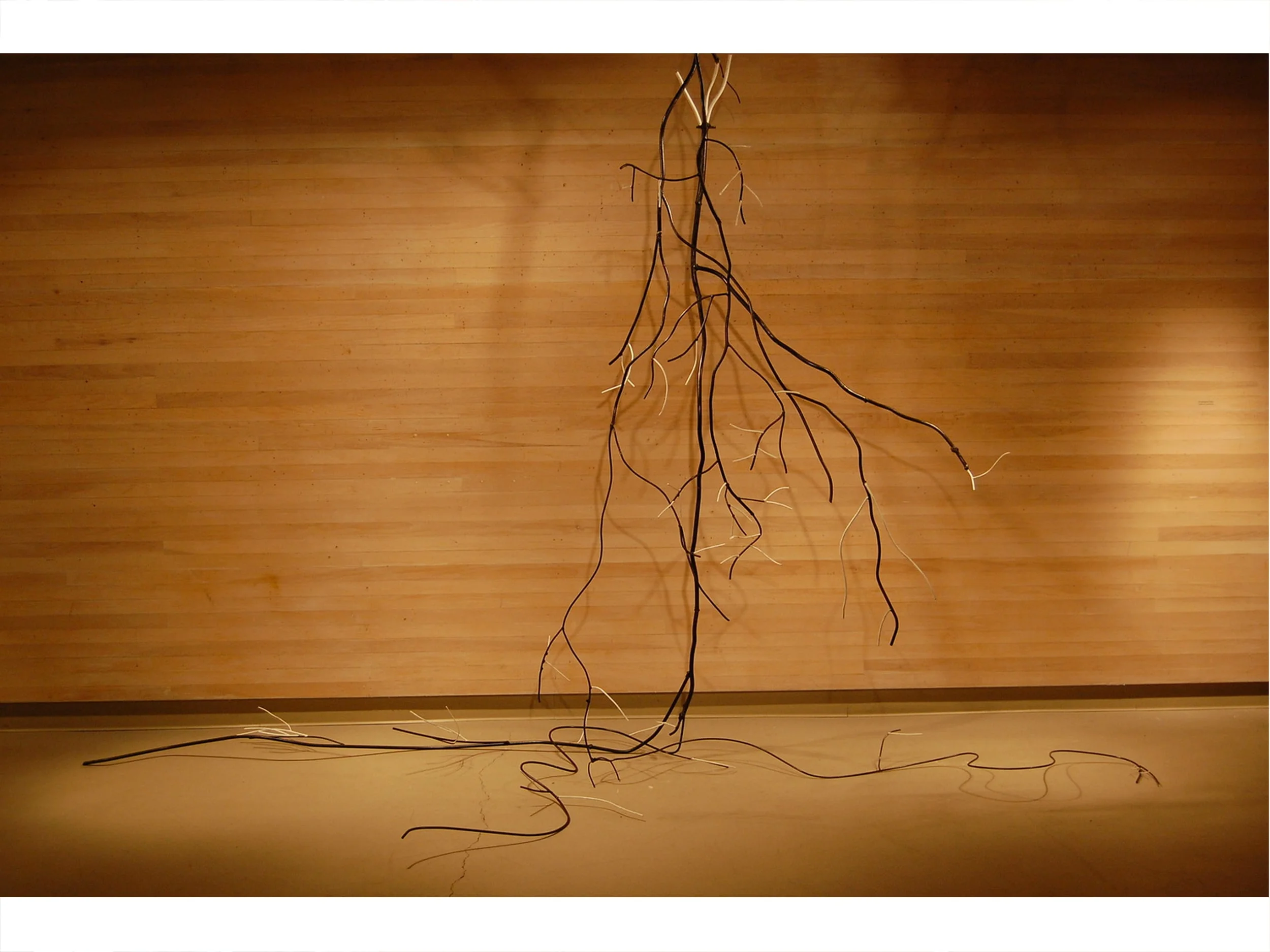 Gutierrezia Sarothrae (Brownweed-Grass)