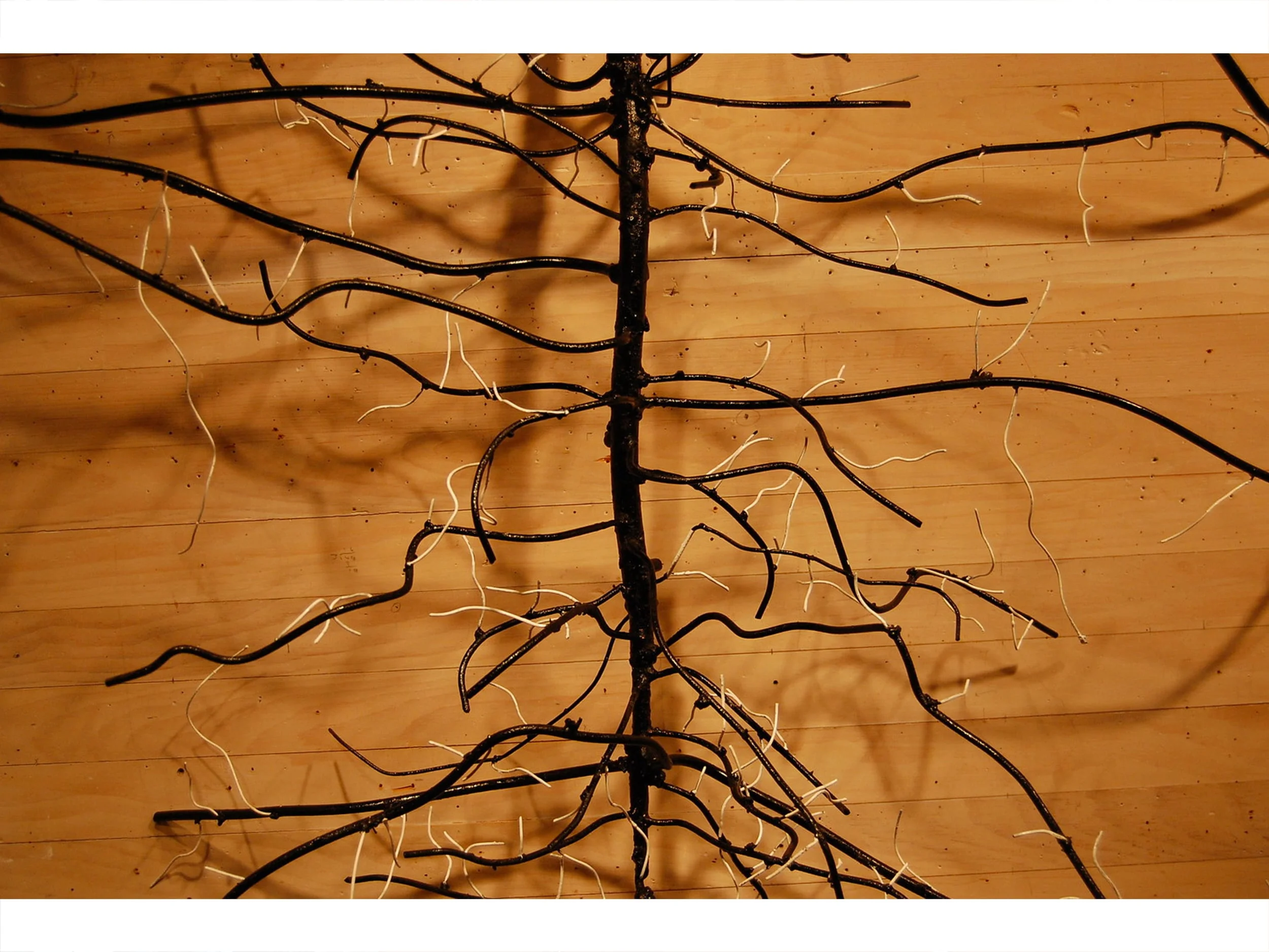 Weed from my Backyard - detail