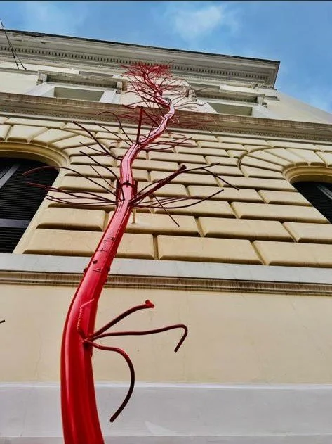 8fec4c1f-f883-435f-ae08-f1655c475144 (2).JPG