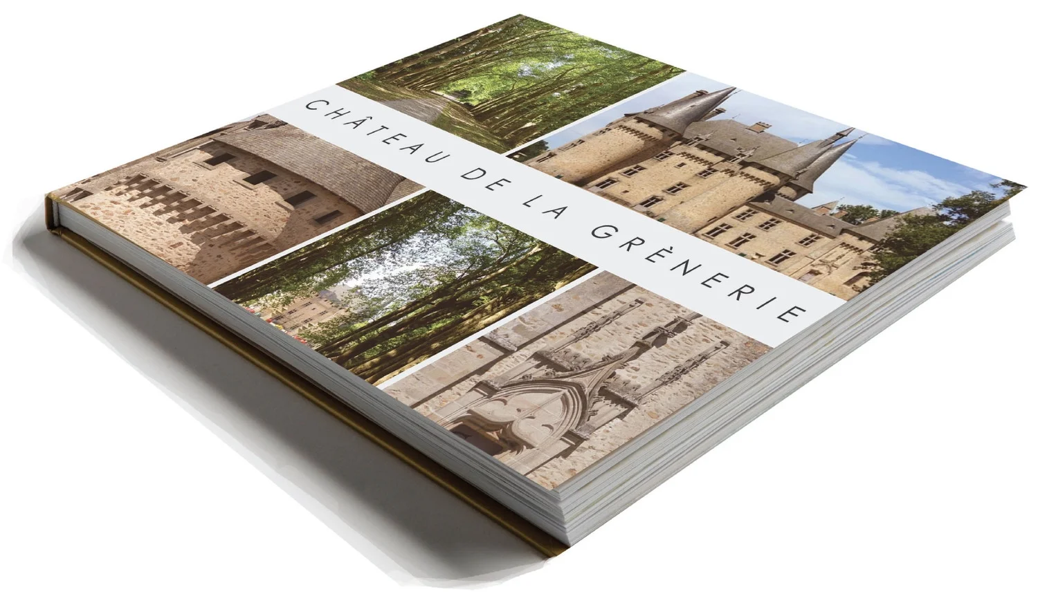 CivicArts - CGF book cover.jpg