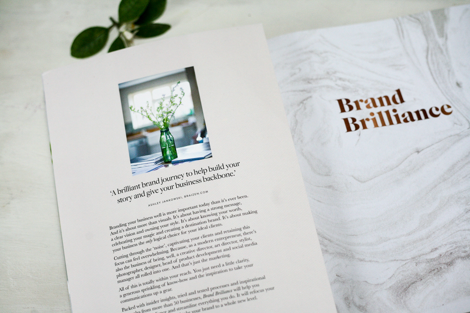 Brand Brilliance, the new book by Fiona Humberstone, The Brand Stylist