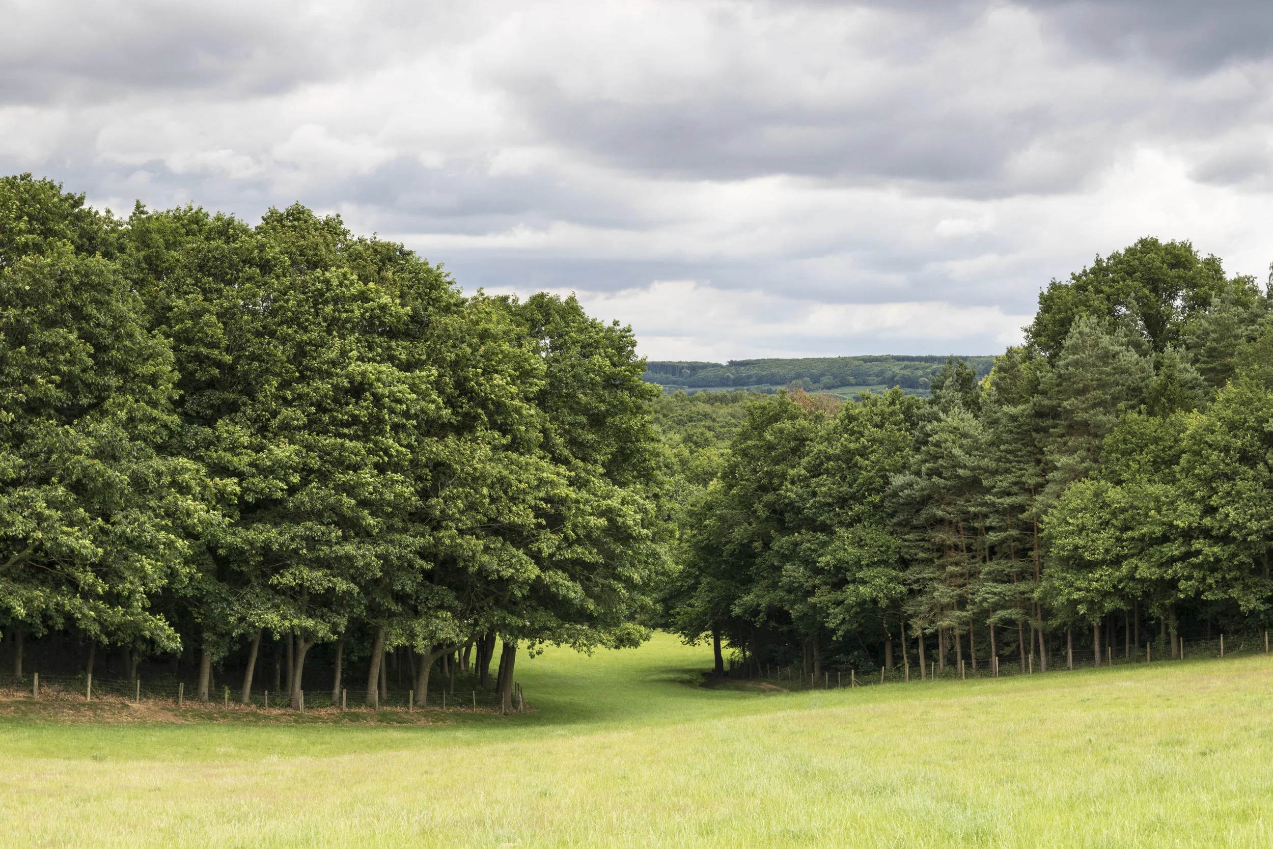 North Frith Farm, Hadlow. Photo by Derek Griffin