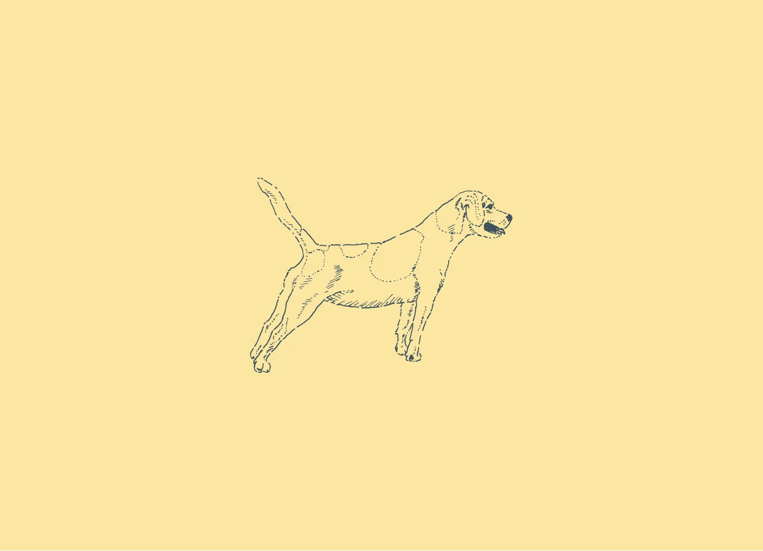 The English Beagle branding and logo design by Ditto Creative, boutique branding agency in Kent
