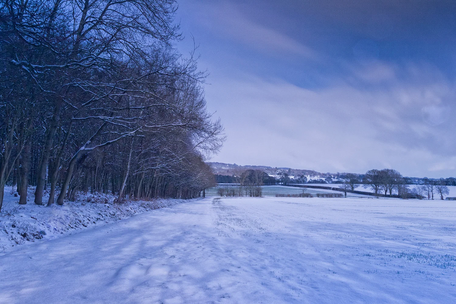 The beast from the east, photo by derek griffin, from the oast, hadlow, kent