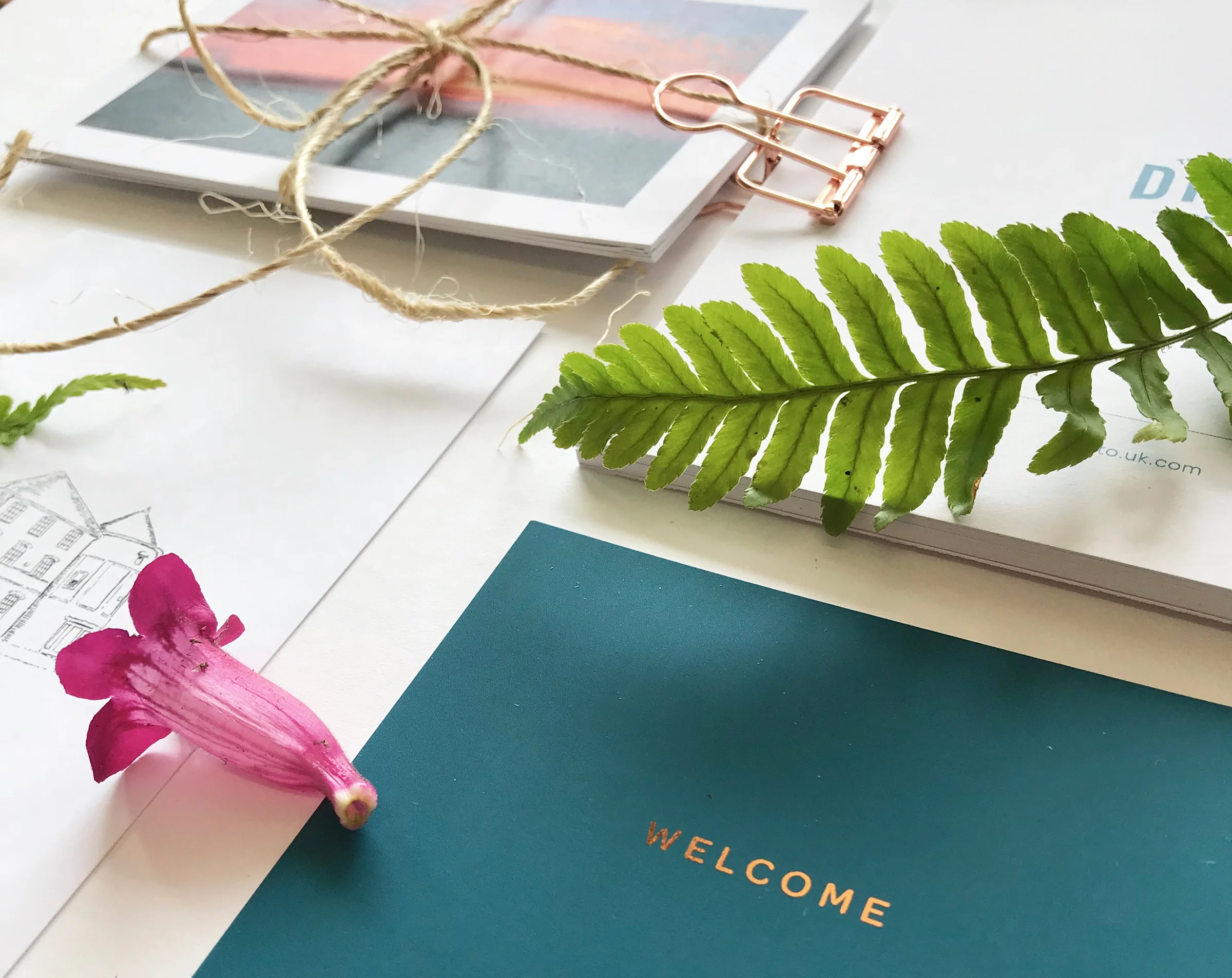 Creating powerful and intentional marketing pieces that land with impact