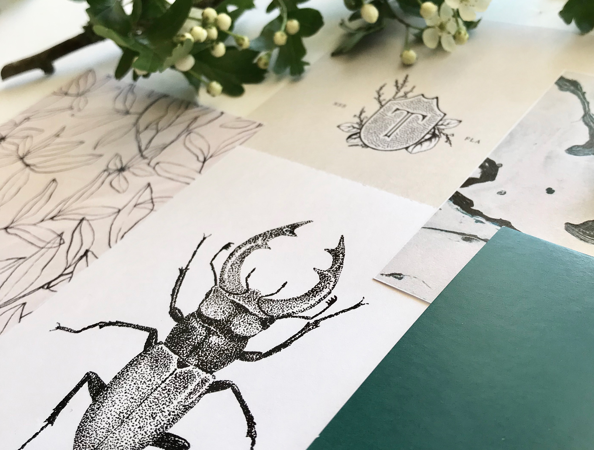 Developing your creative style by Ditto Creative