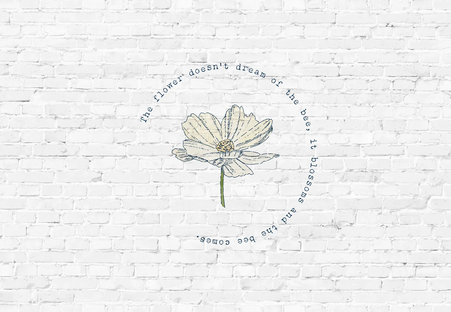 Growthfully brand design by Ditto Creative, branding agency Kent