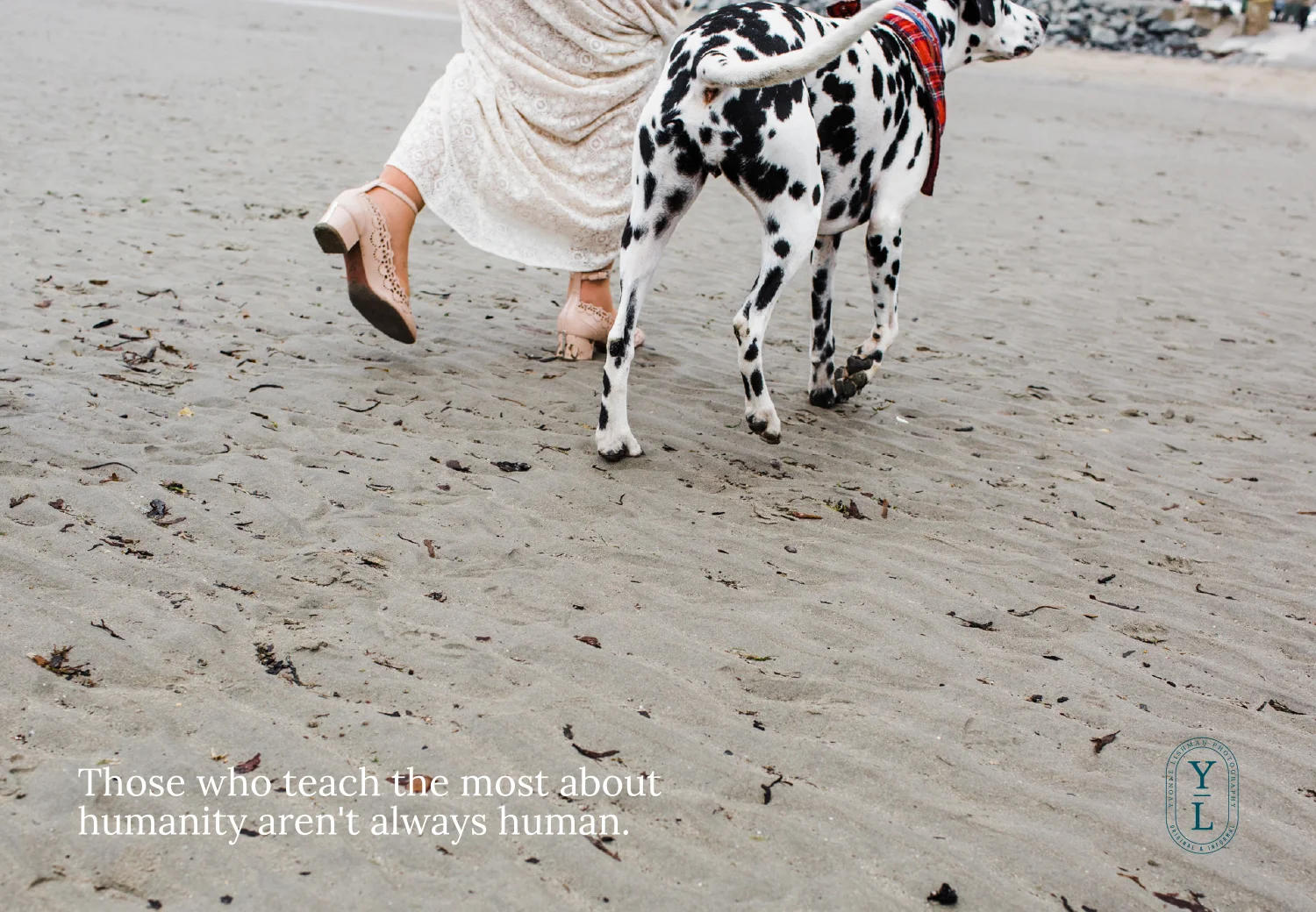 Yvonne Lishman Photography, brand identity and logo design by Ditto Creative, branding agency Kent