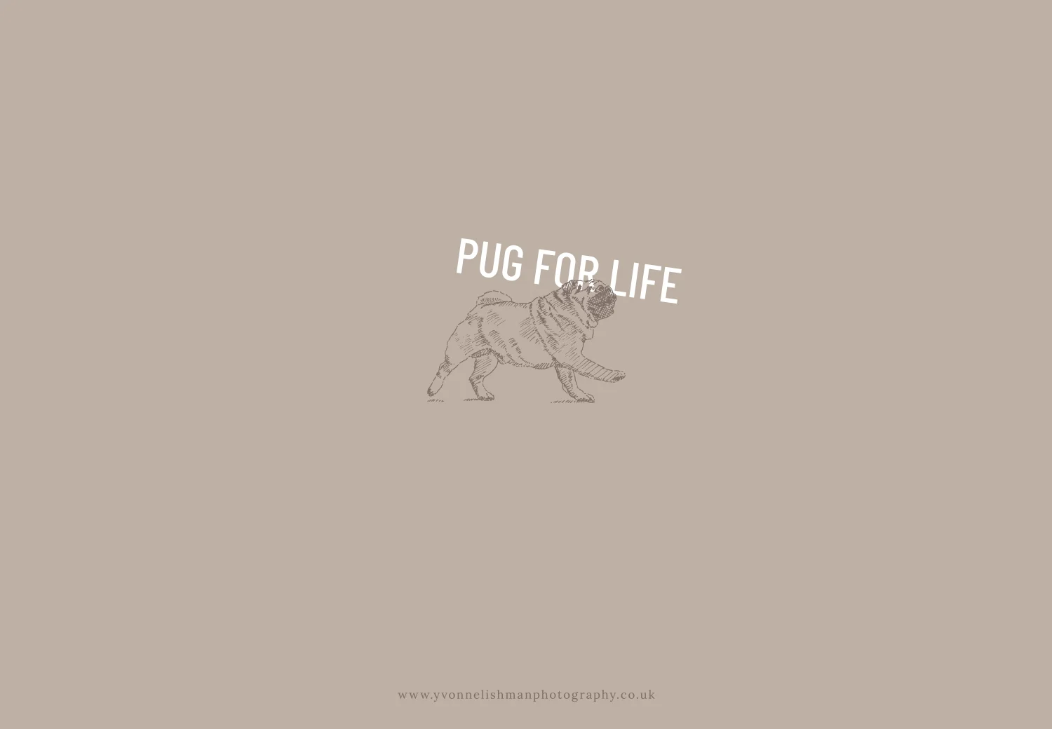 Yvonne Lishman Photography logo design and brand identity by Ditto Creative, branding agency Kent